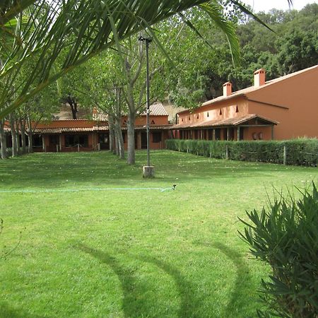 Posada El Camino Almonaster 阿尔莫纳斯特尔拉雷亚尔 外观 照片
